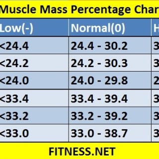 muscle mass percentage chart