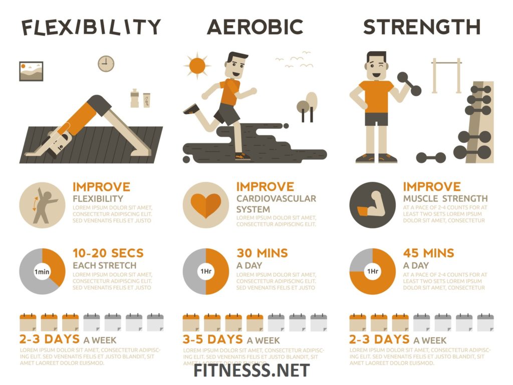 5 Components of Fitness 