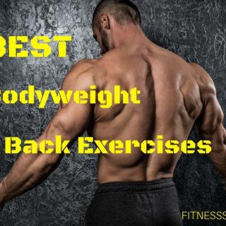 Bodyweight Back Exercises
