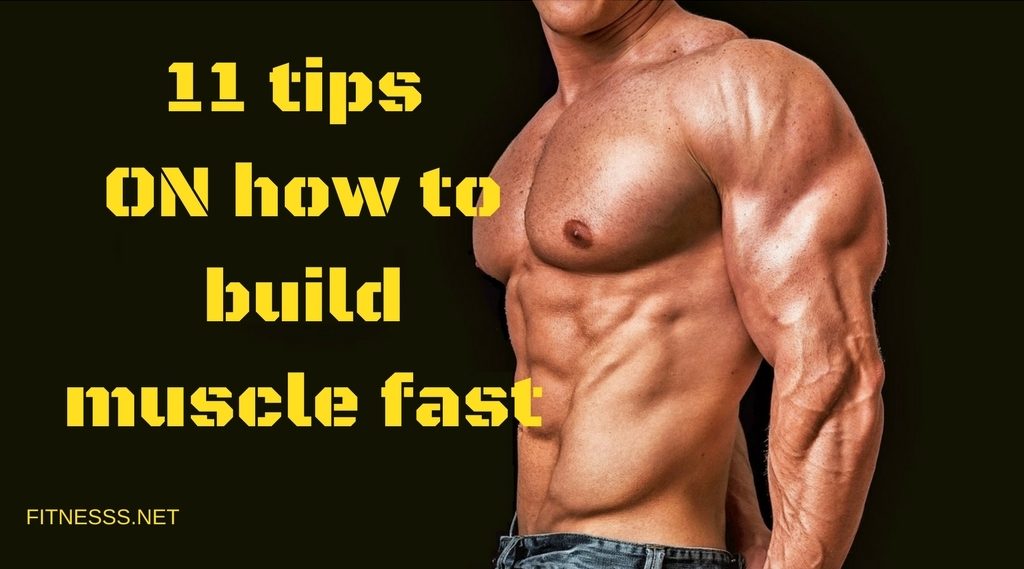 tips how to build muscle fast