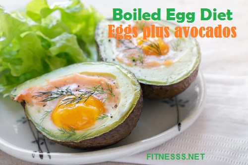 Boiled Egg Diet-Eggs plus avocados