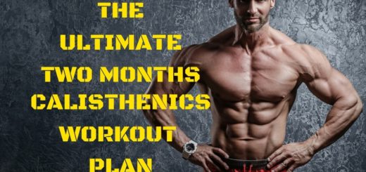 calisthenics workout plan